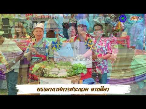 โครงการมหกรรมสูงวัยสร้างสุขตำบลท่าก๊อ ประจำปี 2567