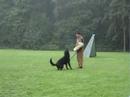 Aik von Haus Lohre LGA 2006 B Aik von Haus Lohre LGA 2006 B