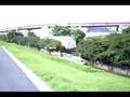 Along the Arakawa River