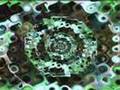 DJ Tech - Nevereverland (Rave Mix) (2001)