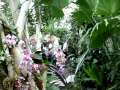 The Butterfly House - Chesterfield Missouri