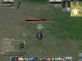 Rappelz PVP - Pantera Warrior