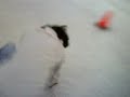 moquin patinando
