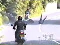 moped crash