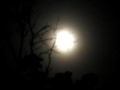 TALES OF DARK - LUCIFERIAN ELEGY