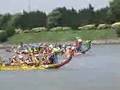 Shanghai Expat Dragon Boat Race