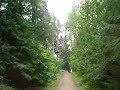 otepää 6