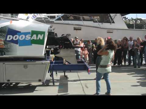 Team Doosan Offshore Powerboat