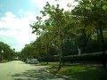 Key Biscayne #2