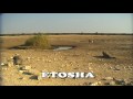 Etosha national park namibia