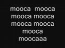 video  sandro   musica kit da mooca