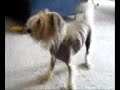 osker spinning