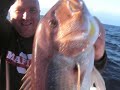 Jigging : Big Day Dentex by www.jigging.fr !!! Jigging : Big Day Dentex by www.jigging.fr !!!