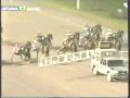 Ibiza Broline, Breeders Crown Final2009, Eskilstuna, Sweeden.