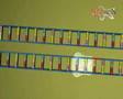 DNA RNA