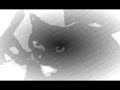 apparently my cat likes to tie people up with nintendo 64 controllers and torture them with butter knives when i'm not looking... and then dance around. i knew i shouldn't have let her watch all those tarantino movies.