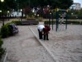 parkour albacete