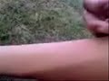 hormigas 2 hormigas 2