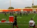 Rock Pom
