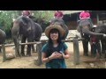 Thailand Adventure