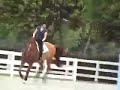 Zazou on Ivy-Lesson at Turn About Farm with Missy Clark