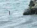 Department of Defense  Stiletto High Tech Water Craft