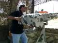 Pumpkin Blaster (Cannon) - DellOsso Farms Lathrop