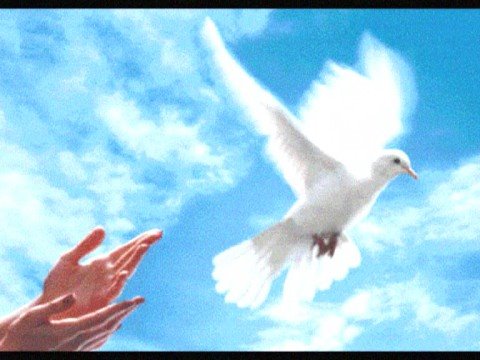 Image de prévisualisation YouTube