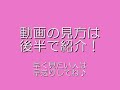 【エロ動画】【カーセックス】エロすぎる尻に顔をうずめて