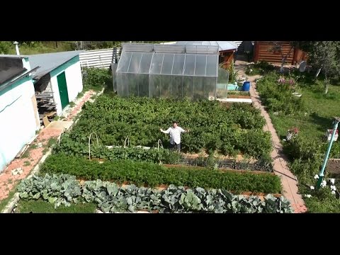 Дача с нуля и без затрат Дача с нуля и без затрат