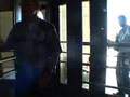 videos de Polis atacking Cheri Honkala