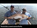 catching-a-50-pound-red-drum.html