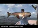 Catching-a-50-pound-