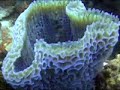 2000 Bonaire, Neitherland Antillies 2000 Bonaire, Neitherland Antillies