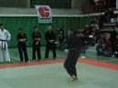 World Kenpo Karate Championship  2007 Free Hand Forms T�bua