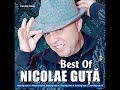 Nicolae Guta – Si tin la tine
