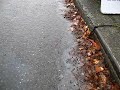 Just another drizzly day of destruction for poor ol' Puget Sound