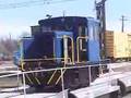 the blue goose rides again!