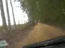 Hit the Road