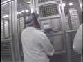 Chimps Injected with Sedatives
