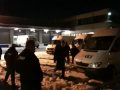 Gls in de sneeuw