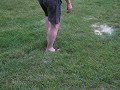 Grass that moves