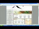 Xocai Income Generator