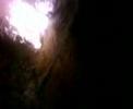 Buring Tree longer