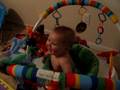 videos de Aydin and the crab