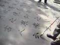 Chinese water graffiti
