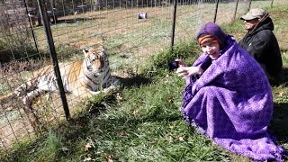 Episode 1: Cats! at TCWR