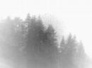 Paysage D\ Paysage D\