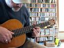 american conservatory parlor guitar   tour and demo