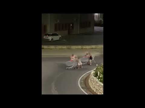 I carrelli trasportati in strada